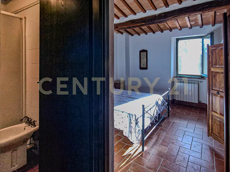 Immagine 28 di Terratetto in vendita  in Località Scovaventi 1 a Semproniano