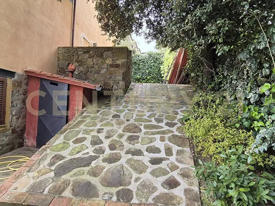 Immagine 16 di Quadrilocale in vendita  in via dei mille 38 a Magliano In Toscana