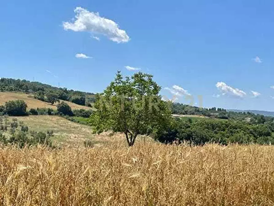 Immagine 14 di Casa indipendente in vendita  in località podere poggio sellino snc a Semproniano