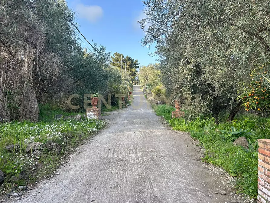 Immagine 5 di Terreno agricolo in vendita  in Via Giovanni Verga 1/A a Misterbianco