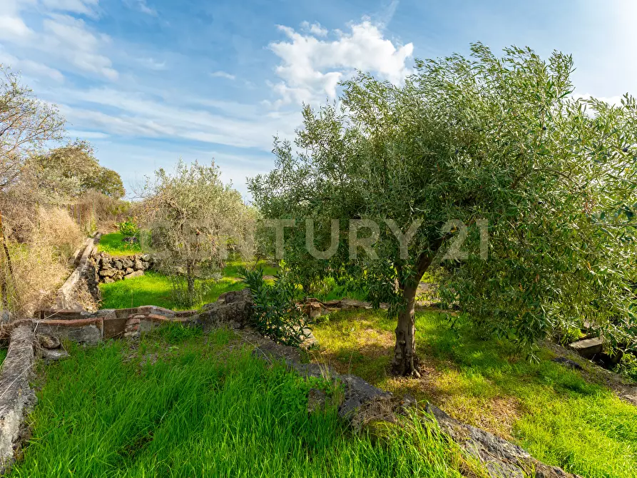 Immagine 37 di Terreno agricolo in vendita  in Via Cerza 35 a San Gregorio Di Catania
