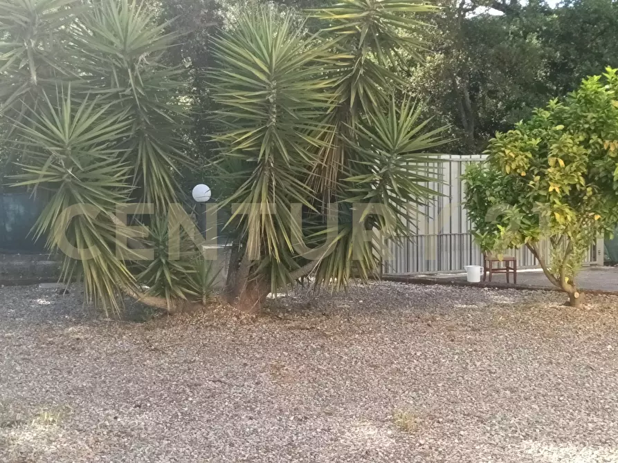 Immagine 7 di Rustico / casale in vendita  in località Sant'Andrea 17 a Gavorrano
