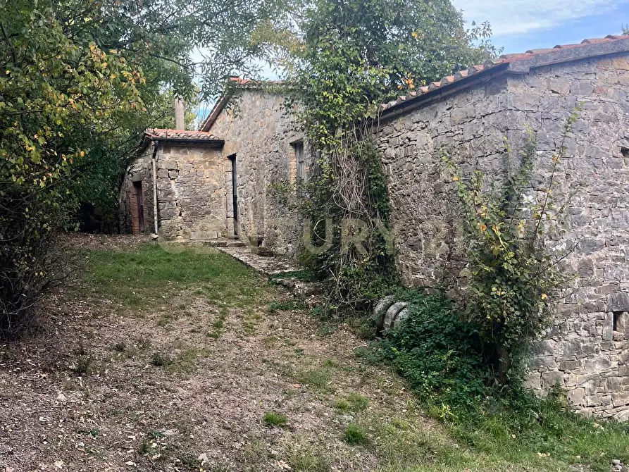 Immagine 12 di Rustico / casale in vendita  in località casa iaconi a Semproniano