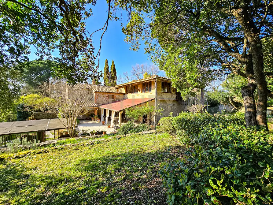 Immagine 2 di Villa in vendita  in Località Poggio Murella 68 a Manciano