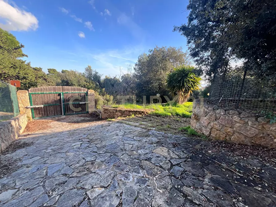 Immagine 7 di Villa in vendita  in Via delle Ginestre 80 a Orbetello