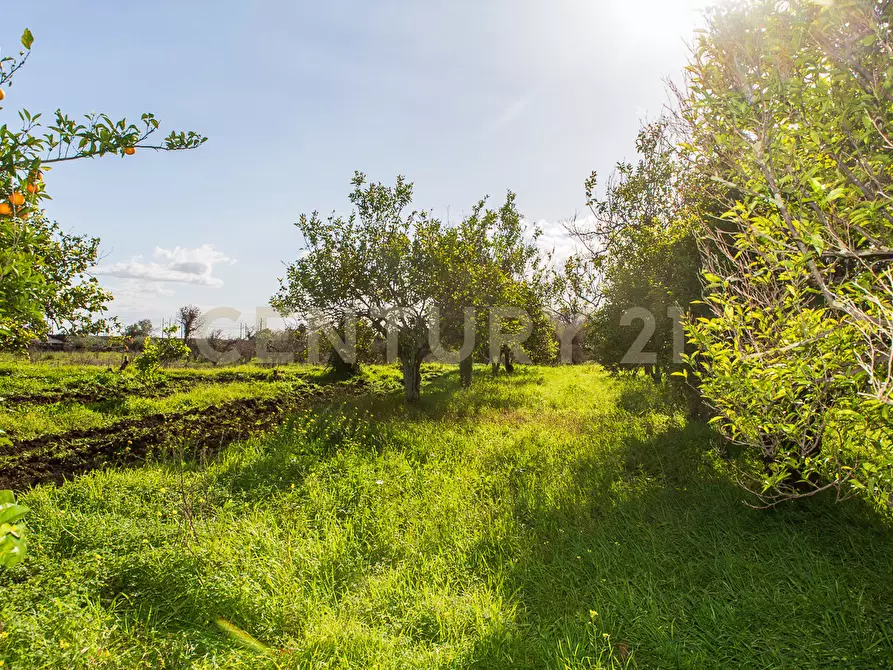 Immagine 20 di Terreno agricolo in vendita  in Via San Piero Patti 108 a Acireale