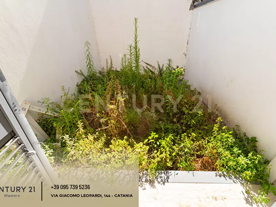 Immagine 32 di Casa indipendente in vendita  in Vico Malizia 7 a San Pietro Clarenza