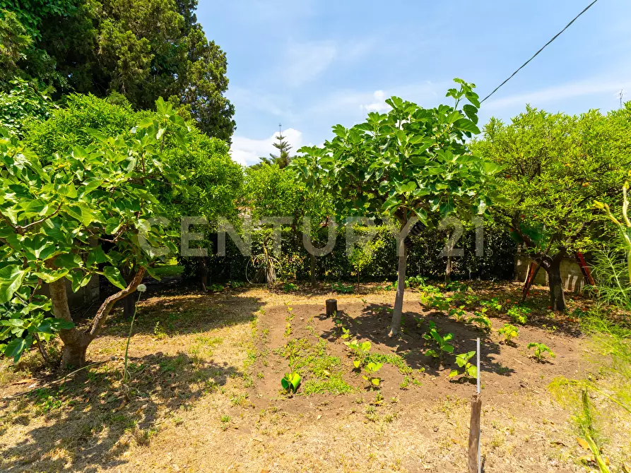 Immagine 76 di Villa in vendita  in Via Salemi 18 a Mascalucia