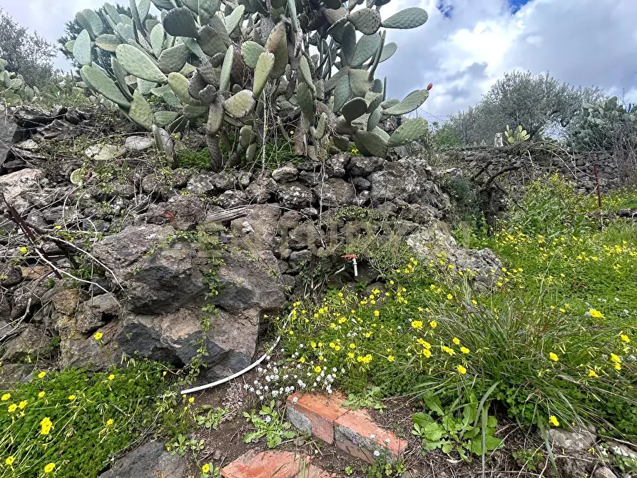 Immagine 27 di Terreno edificabile in vendita  in Viale Giovanni Falcone 9 a Camporotondo Etneo