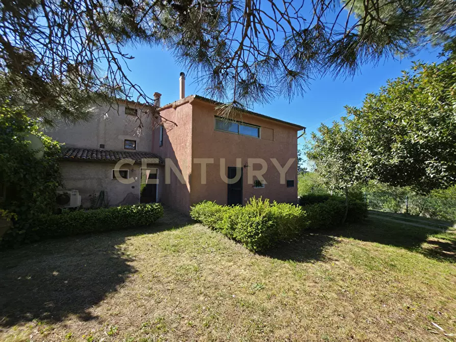 Immagine 15 di Rustico / casale in vendita  in località cesi a Gavorrano