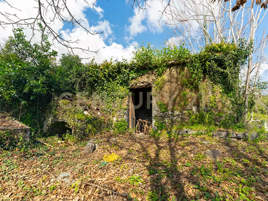 Immagine 20 di Terreno agricolo in vendita  in via giuseppe zinghirino 1 a Giarre