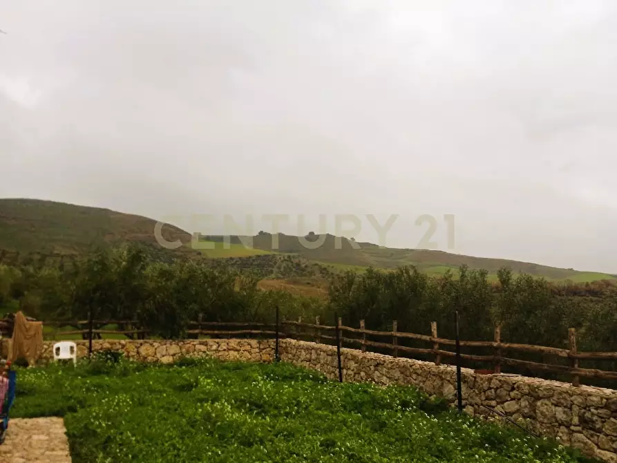 Immagine 9 di Terreno agricolo in vendita  in Contrada Masseria Grande SNC a Centuripe
