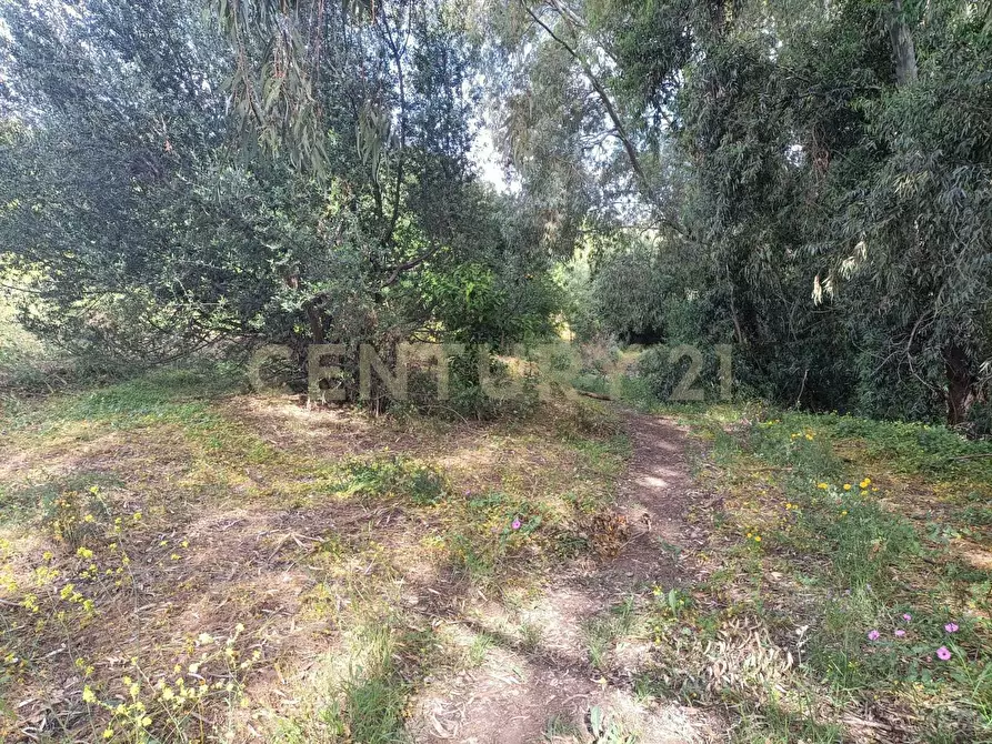 Immagine 11 di Terreno edificabile in vendita  in Via Palermo a Catania