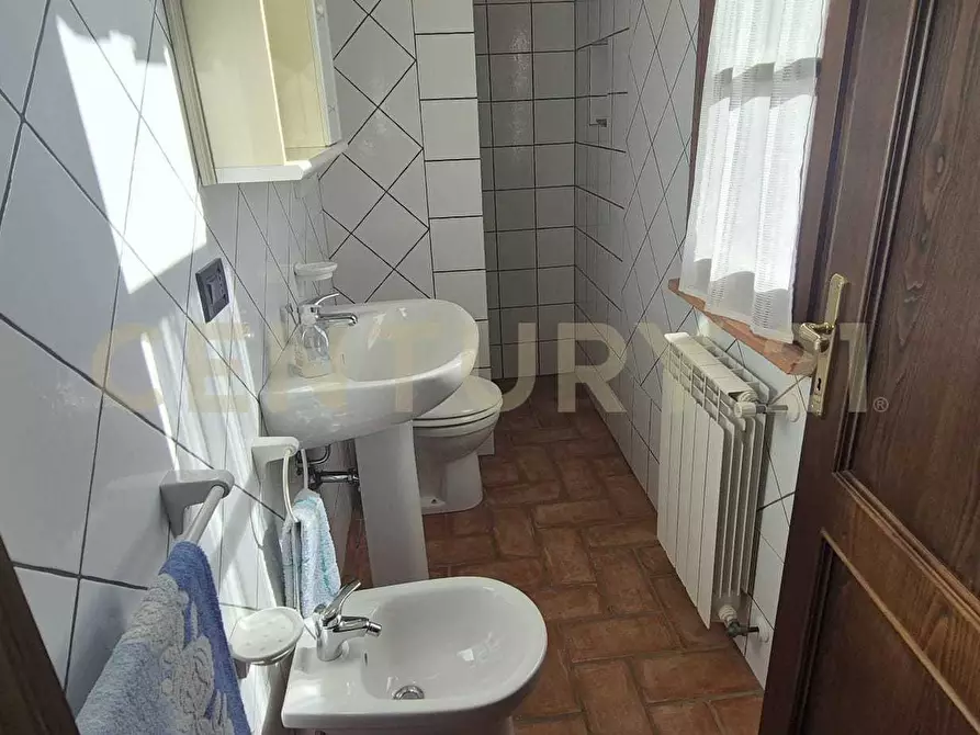 Immagine 16 di Azienda agricola in vendita  in località poggio al capraio snc a Roccastrada