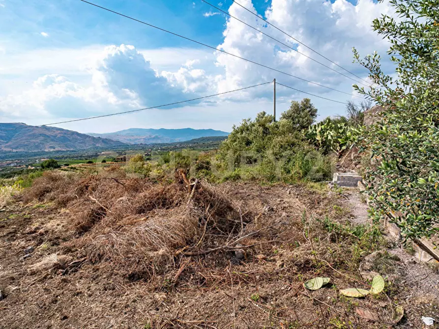 Immagine 51 di Terreno agricolo in vendita  in Via San Leo a Adrano