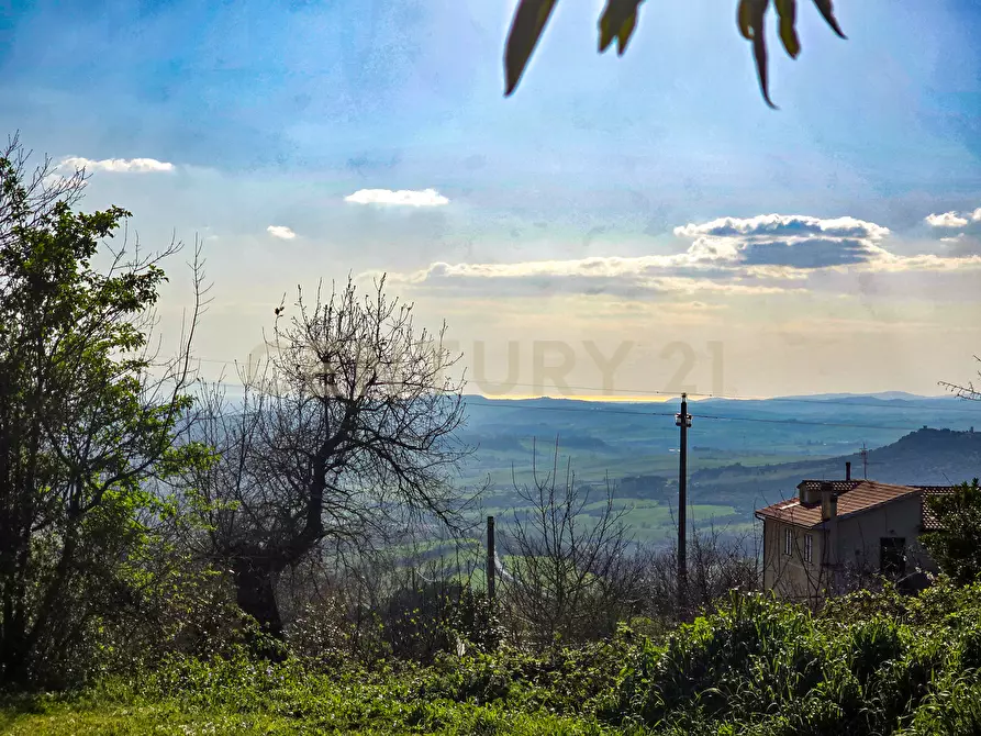 Immagine 6 di Villa in vendita  in Località Poggio Murella 68 a Manciano