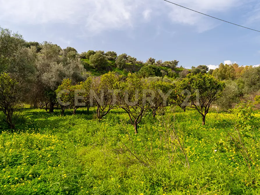 Immagine 25 di Terreno agricolo in vendita  in Contrada Vaccarizzo a Catania