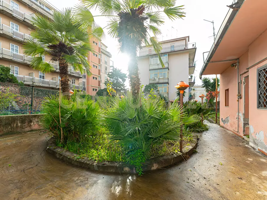 Immagine 2 di Appartamento in vendita  in Via Antonio Zacco 7 a Catania