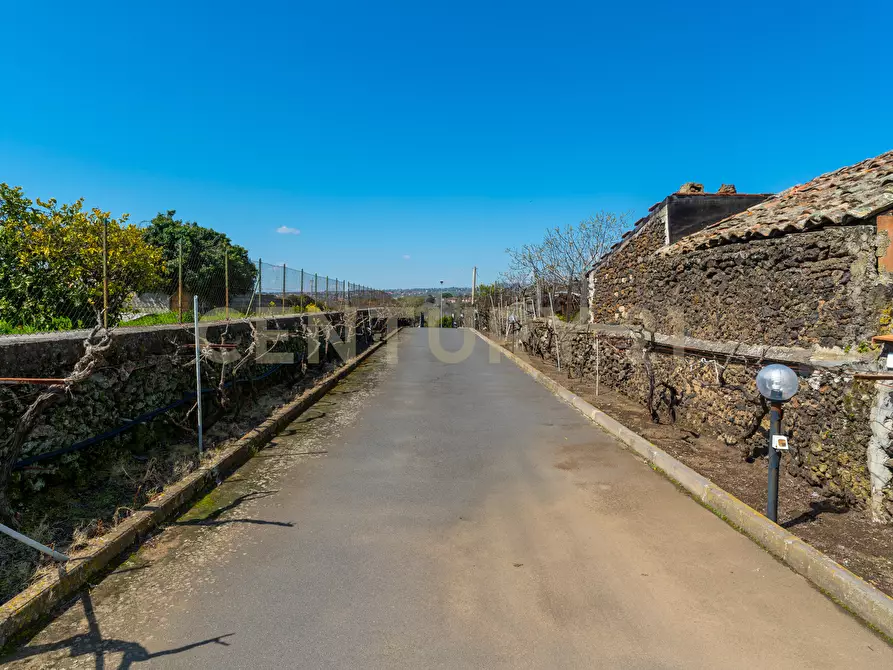 Immagine 5 di Villa in vendita  in Via Ramondetta 47 a Aci Sant'antonio