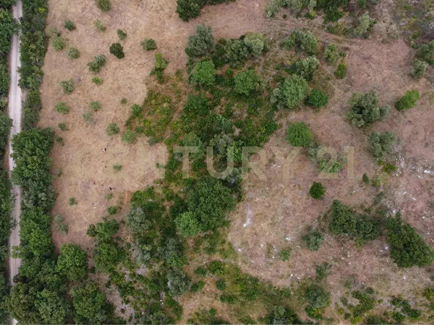 Immagine 11 di Terreno edificabile in vendita  in podere bizzarri a Scarlino