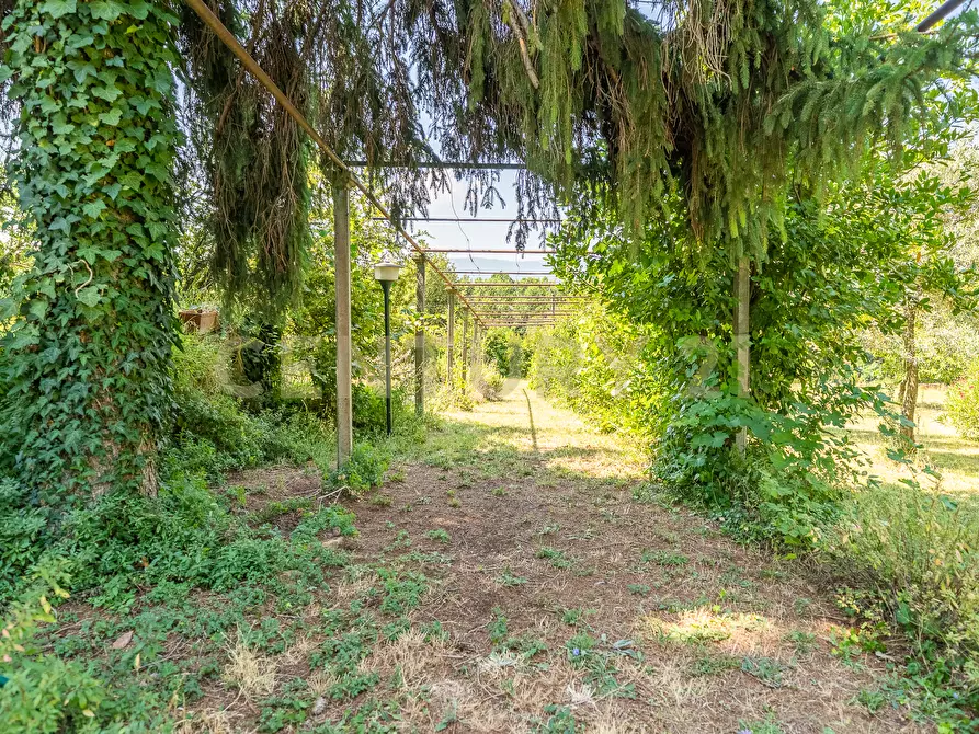 Immagine 40 di Villa in vendita  in Via Pedemontana 319 a Palestrina