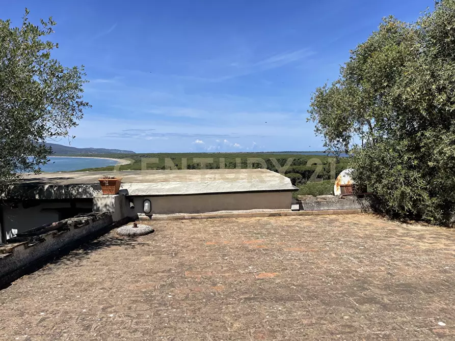 Immagine 9 di Trilocale in affitto  in Via delle Mimose 4 a Orbetello