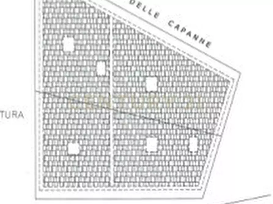 Immagine 7 di Casa indipendente in vendita  in via ombrone snc a Campagnatico