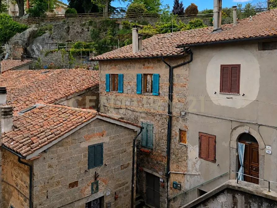 Immagine 20 di Pentalocale in vendita  in Via del Coro 47 a Piancastagnaio