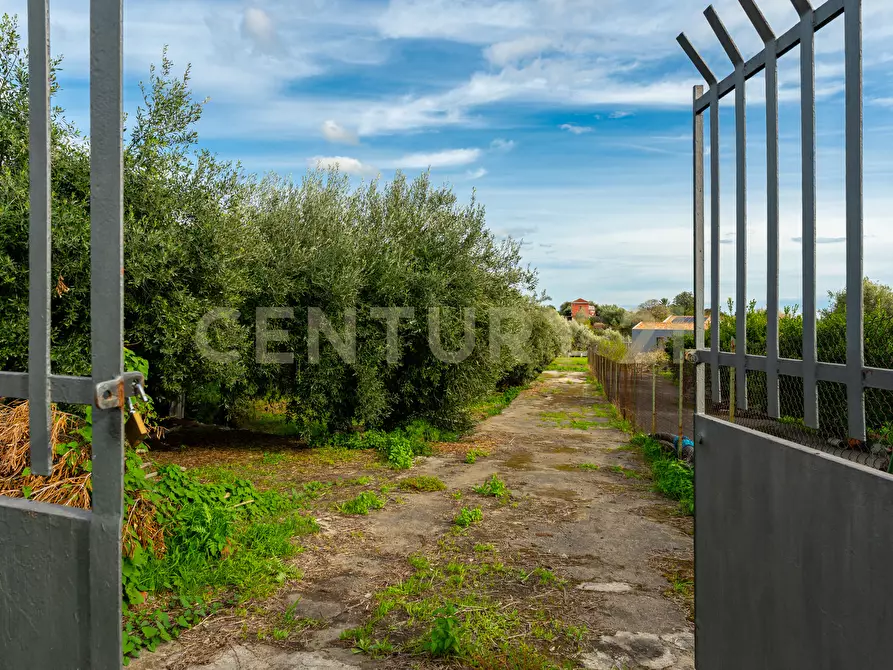 Immagine 9 di Terreno agricolo in vendita  in Via Cerza 35 a San Gregorio Di Catania