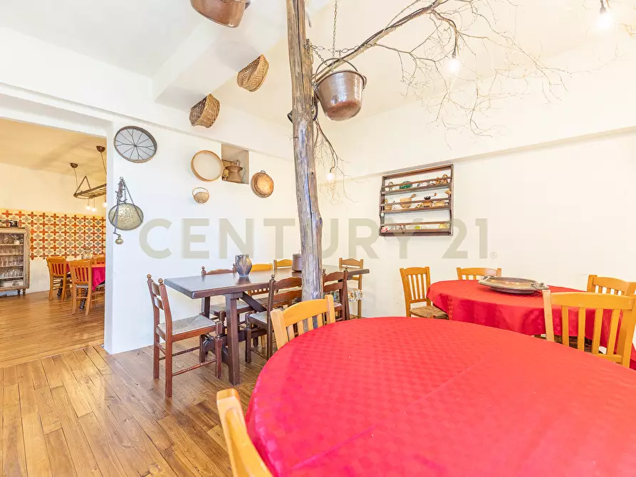 Immagine 9 di Villa in vendita  in Via Vittorio Emanuele 22 a Serrone