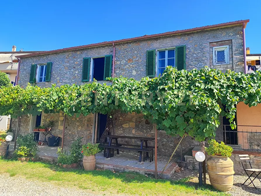Immagine 1 di Rustico / casale in vendita  in località filare a Gavorrano