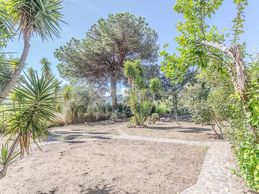Immagine 32 di Villa in vendita  in Via Spiaggia del Lago 17b a Castel Gandolfo