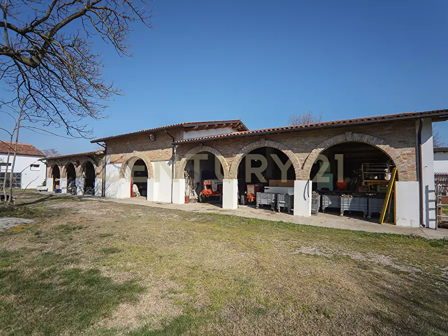 Immagine 17 di Rustico / casale in vendita  in Via Trento 70 a Minerbe