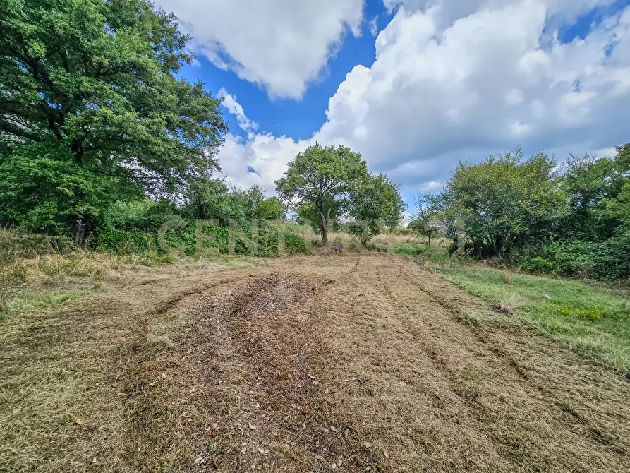 Immagine 3 di Casa bifamiliare in vendita  in Via Monte Rosa 1 a Semproniano