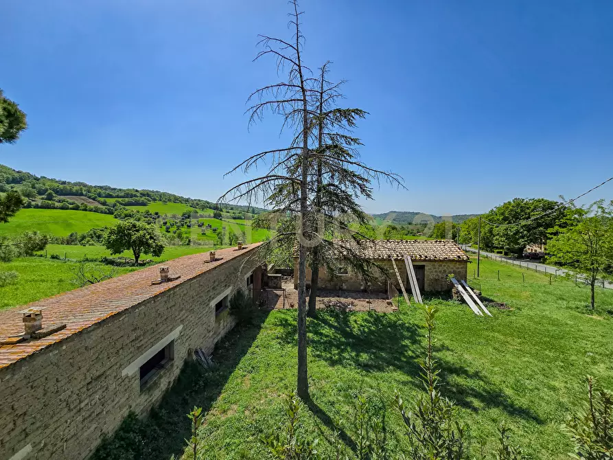 Immagine 26 di Casa indipendente in vendita  in località podere poggio sellino snc a Semproniano