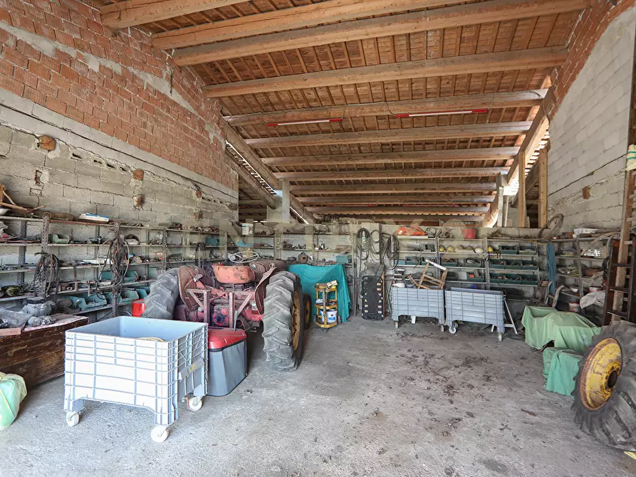 Immagine 21 di Rustico / casale in vendita  in Via Trento 70 a Minerbe