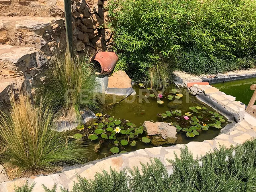 Immagine 13 di Porzione di casa in vendita  in Via degli Atleti a Monte Argentario