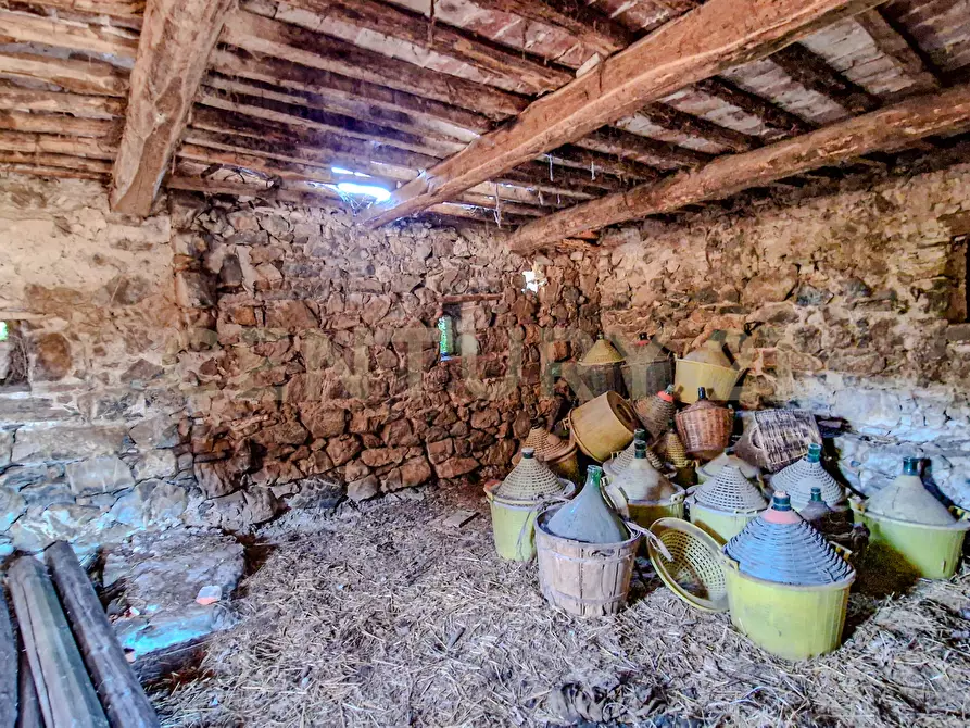 Immagine 9 di Rustico / casale in vendita  in località case cinigliano a Roccastrada