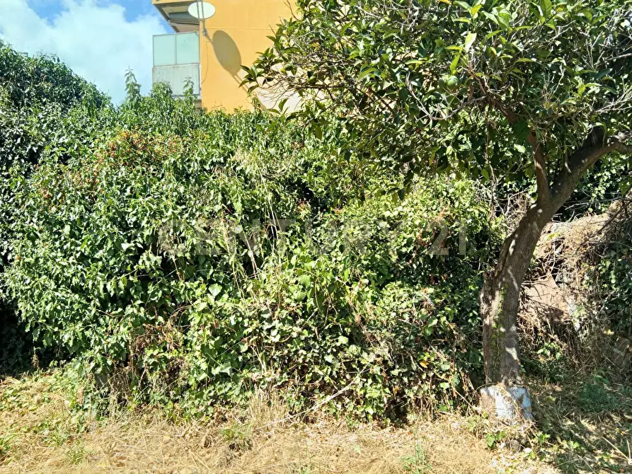 Immagine 15 di Rustico / casale in vendita  in Via Maugeri 12 a Valverde