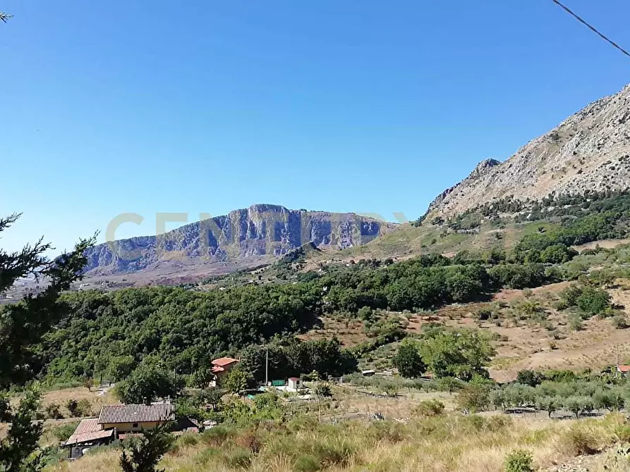 Immagine 10 di Terreno agricolo in vendita  in Contrada Saravulli San Mercurio snc a Piana Degli Albanesi