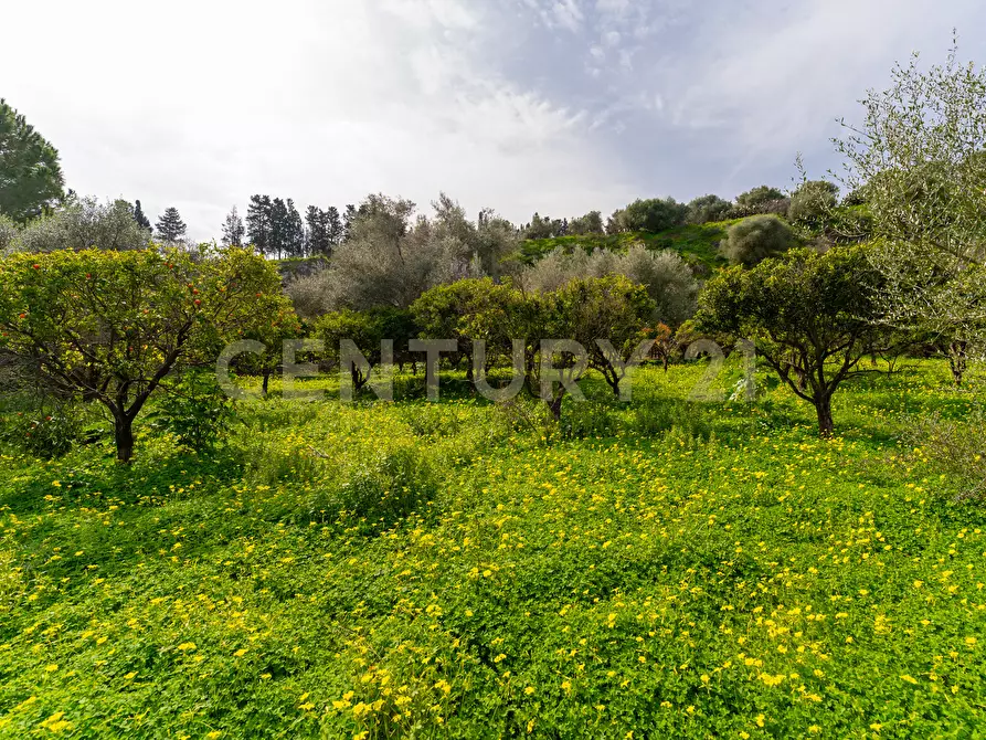 Immagine 11 di Terreno agricolo in vendita  in Contrada Vaccarizzo a Catania