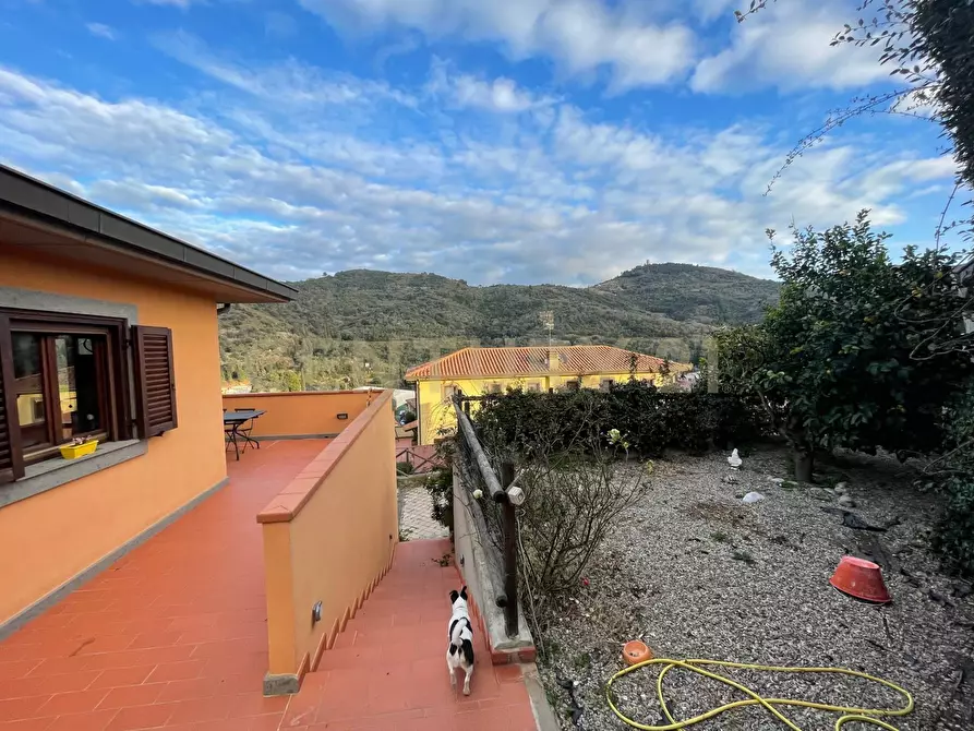 Immagine 4 di Villa in vendita  in Strada Vicinale del Grottino a Monte Argentario