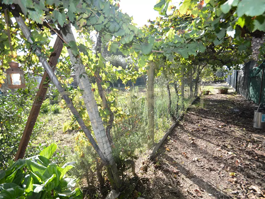 Immagine 16 di Terreno agricolo in vendita  in Via Alberto Sordi 12 a Grosseto