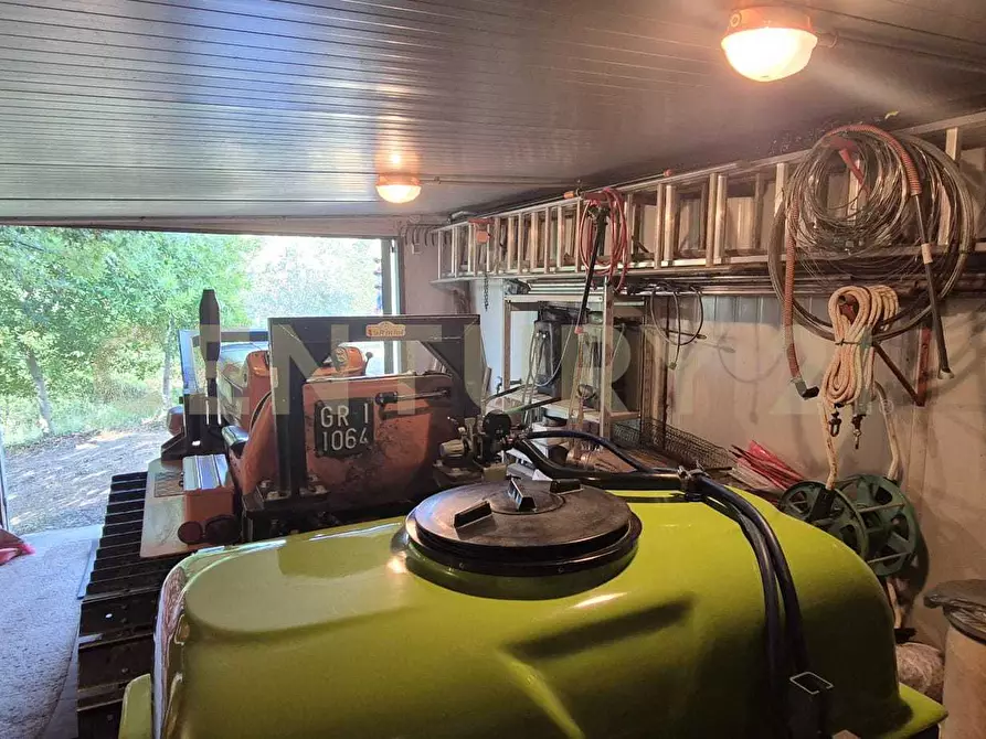 Immagine 42 di Azienda agricola in vendita  in località poggio al capraio snc a Roccastrada