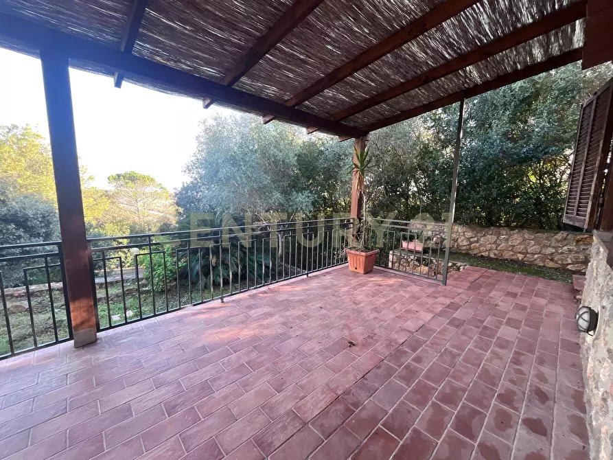Immagine 22 di Villa in vendita  in Via delle Ginestre 80 a Orbetello