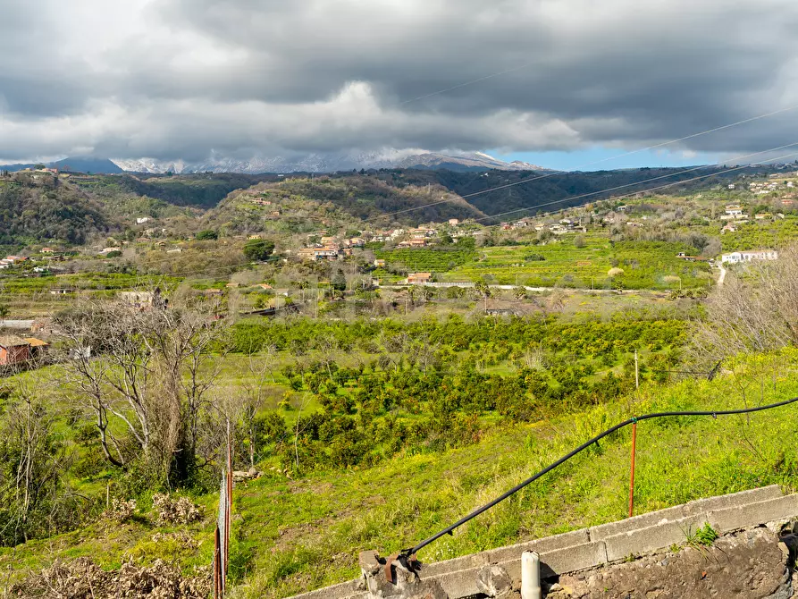 Immagine 6 di Terreno agricolo in vendita  in via giuseppe zinghirino 1 a Giarre