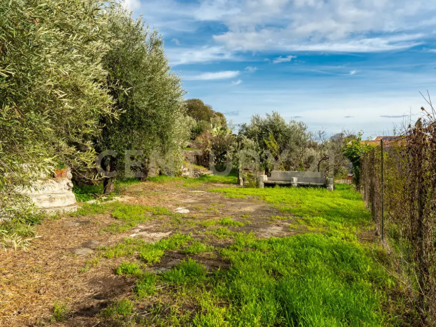 Immagine 17 di Terreno agricolo in vendita  in Via Cerza 35 a San Gregorio Di Catania