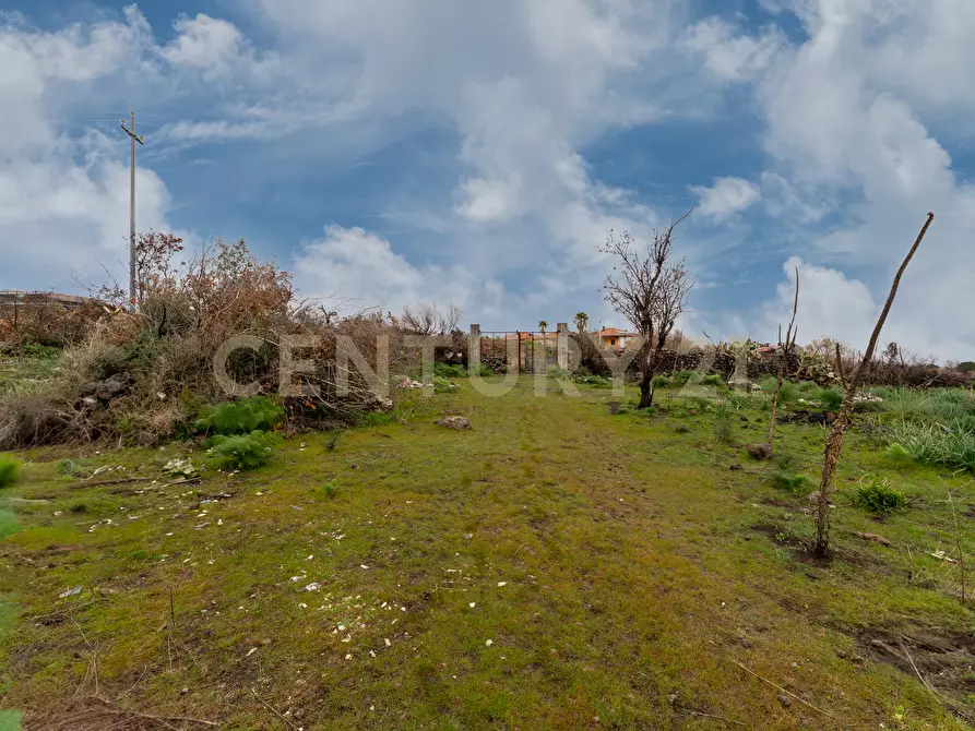 Immagine 10 di Terreno agricolo in vendita  in Via Santa Maria di Licodia a Belpasso