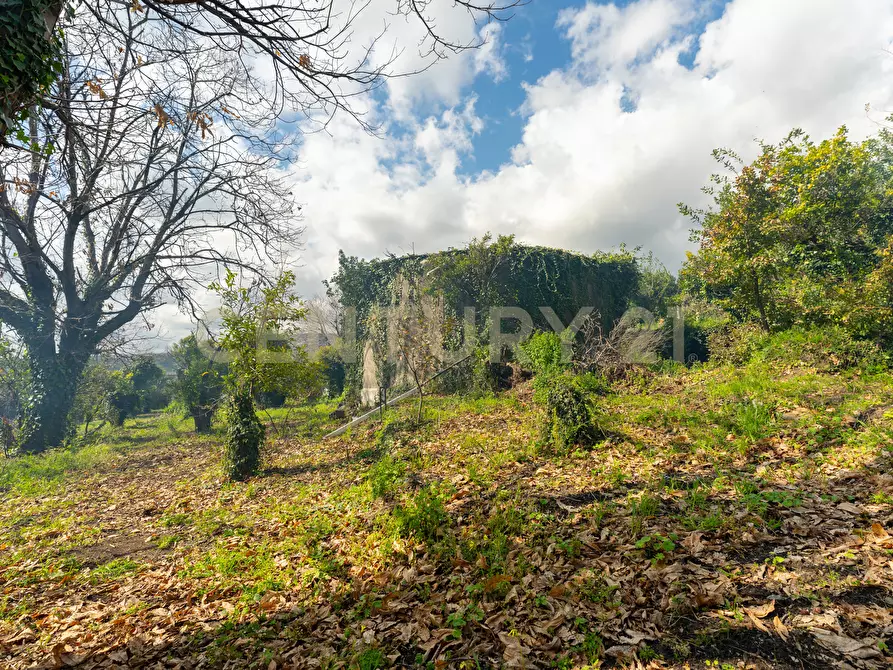 Immagine 23 di Terreno agricolo in vendita  in via giuseppe zinghirino 1 a Giarre