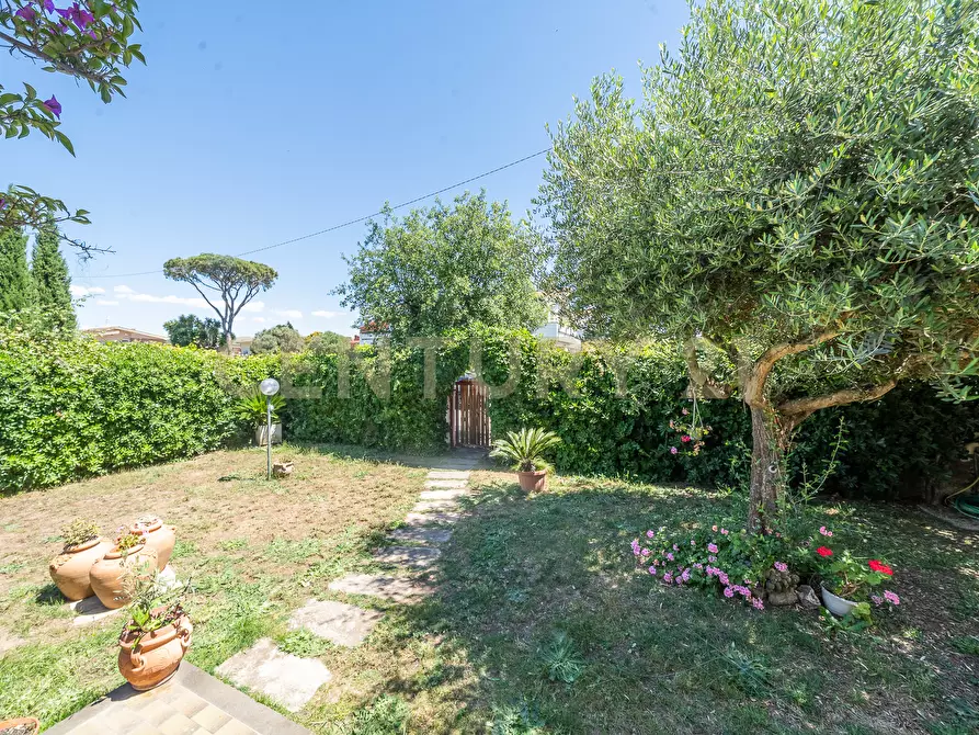 Immagine 12 di Villetta a schiera in vendita  in Viale dei Gladioli 12 a Anzio